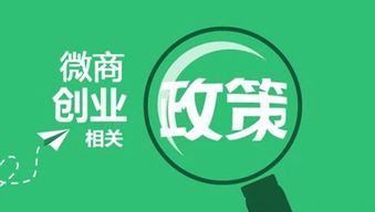 佳瀾招商代理 化妝品與軟件開發領域的入門指南